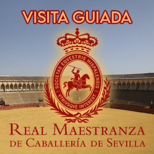 Real Maestranza: Visita guiada